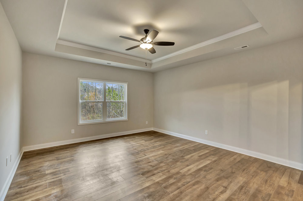 118 Bonaire Point Anderson, SC 29621 - Photo 21 of 23 This expansive room offers abundant natural light and features tray ceilings with a ceiling fan.