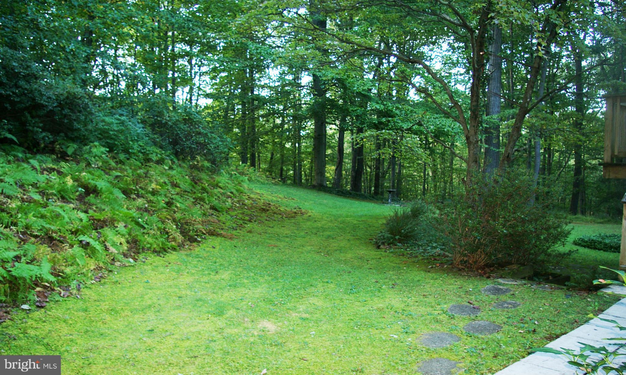 2012 Fallsgrove Way Fallston, MD 21047 - Photo 12 of 12 a view of a lush green forest