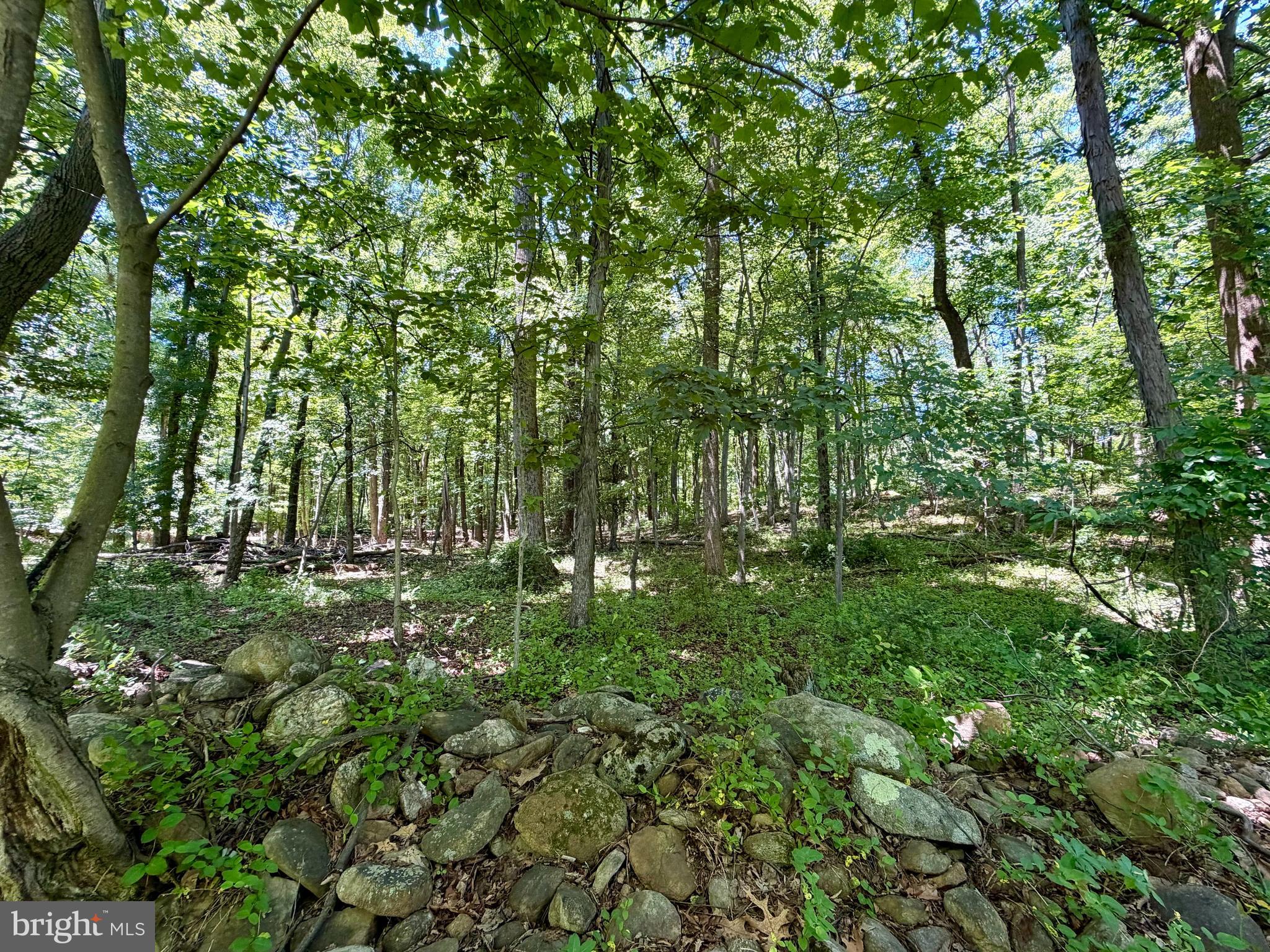10121 Putman Road Frederick, MD 21702 - Photo 20 of 22