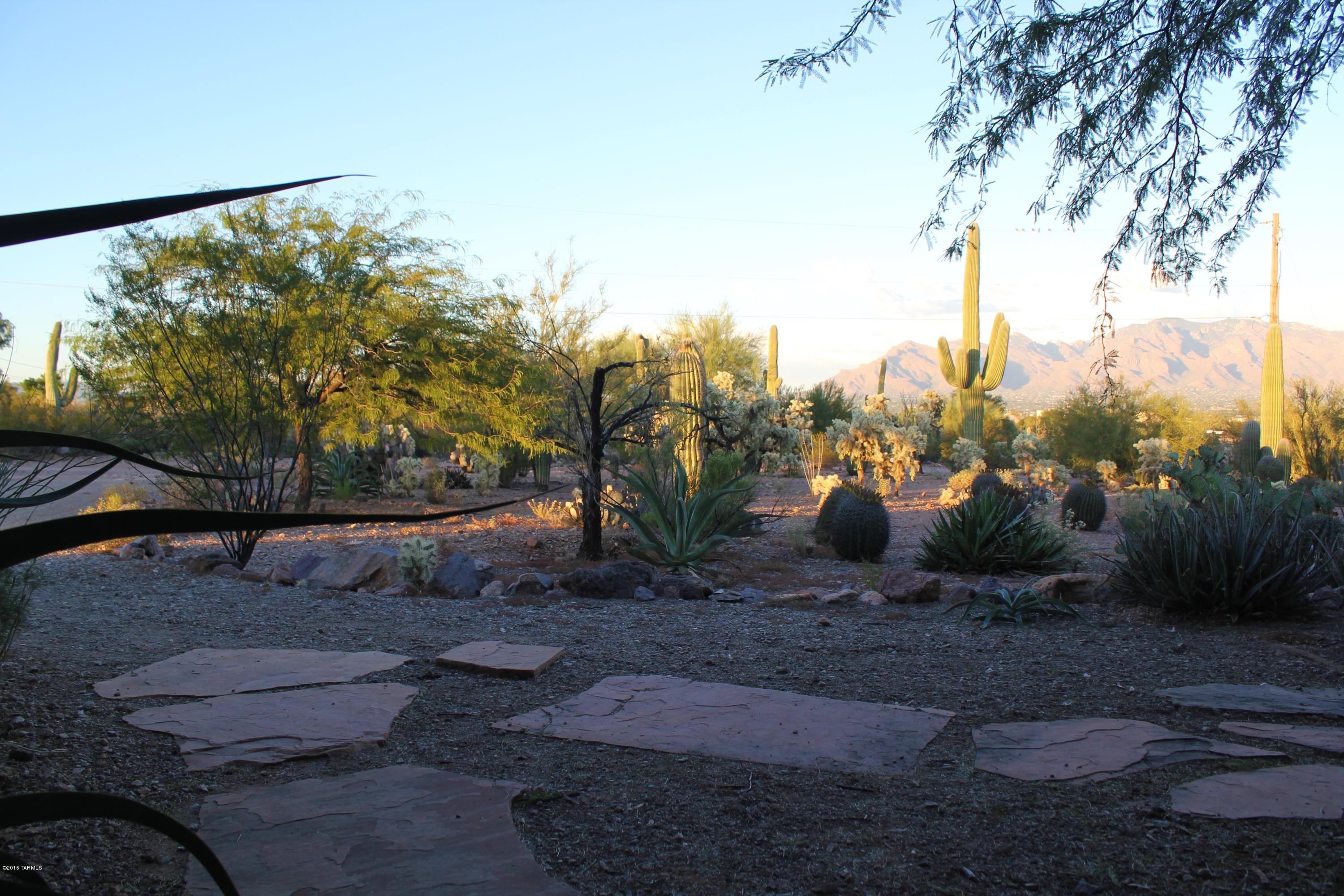 3253 West Ruthann Road Tucson, AZ 85745 - Photo 9 of 43 Gallery Image 9