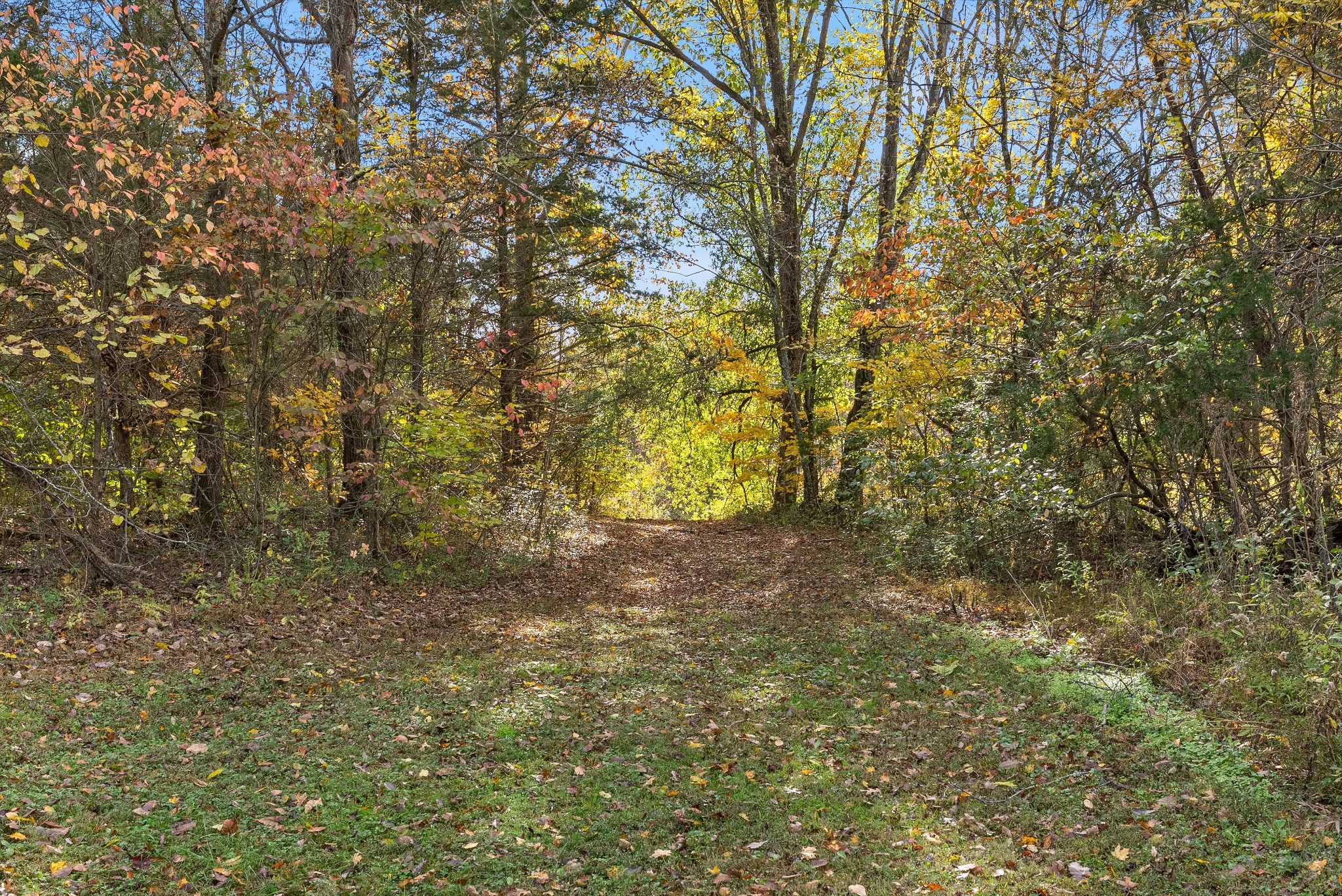 472 Parker Road Portland, TN 37148 - Photo 62 of 73