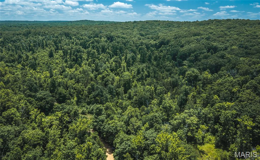 0 Czar Tower Road Steelville, MO 65565 - Photo 1 of 19