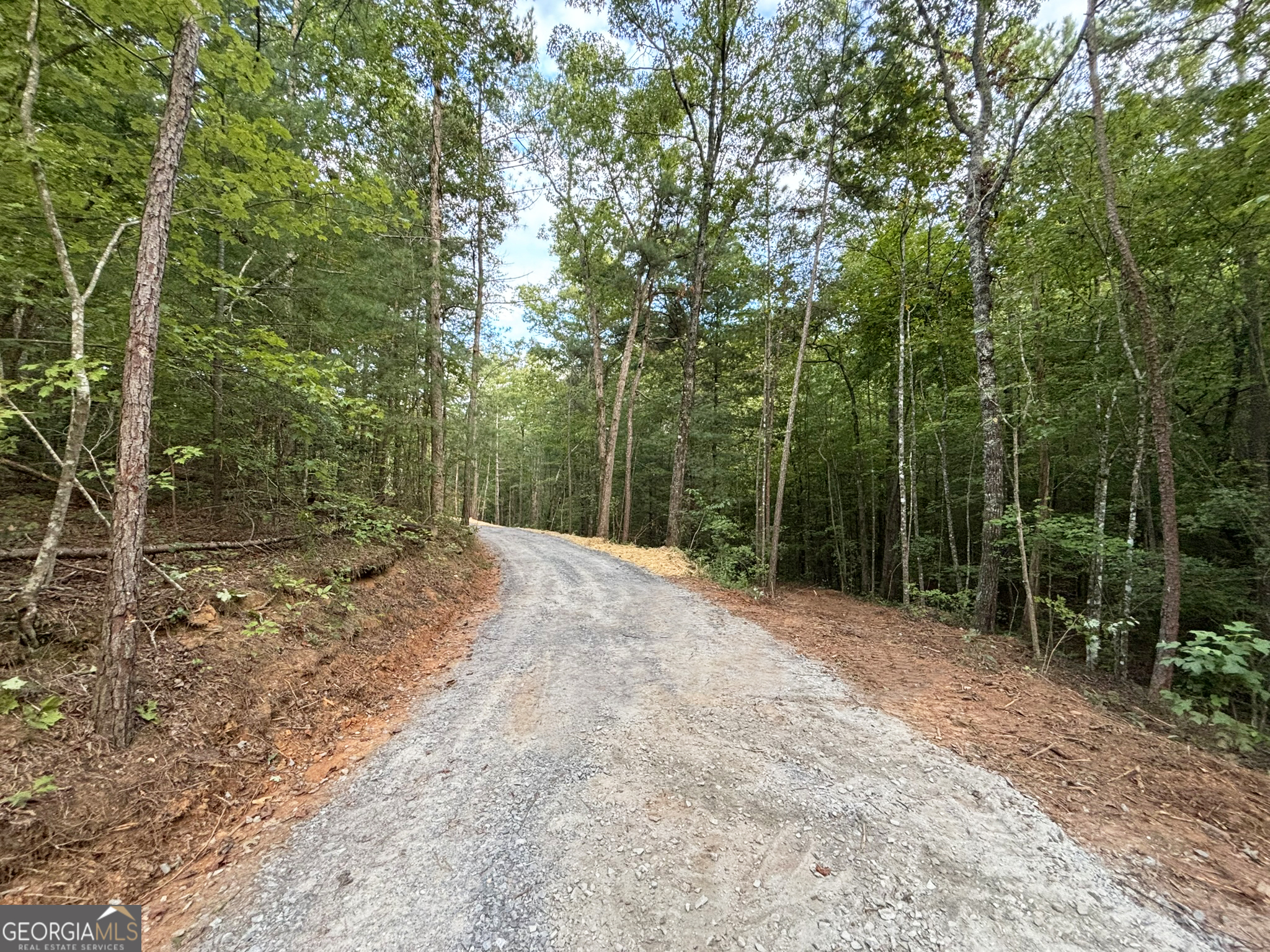 396 Mt Springer Road Ellijay, GA 30540 - Photo 26 of 50