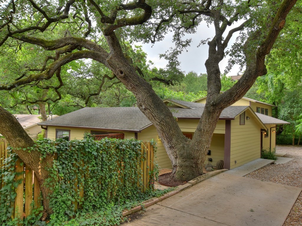 a view of a garden with plants and large trees