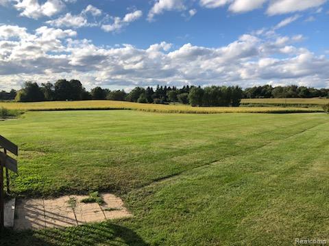 10374 Wilson Road Otisville, MI 48463 - Photo 19 of 99 View of green lawn with a rural view