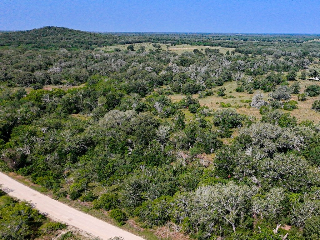502 Robertson Road Smiley, TX 78159 - Photo 27 of 31 a view of a green field with lots of bushes