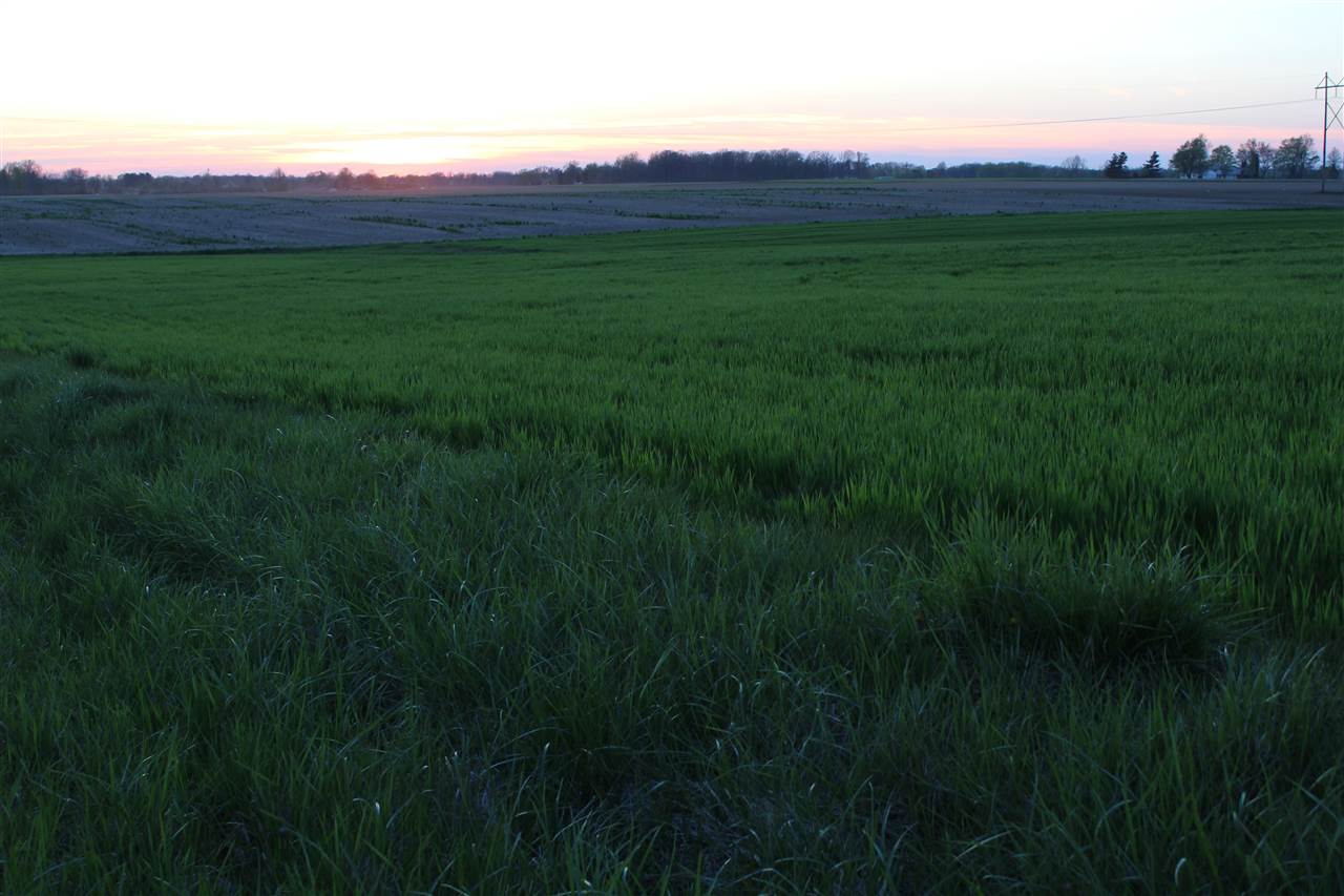 13500 Marion Center Road Hoagland, IN 46745 - Photo 2 of 8
