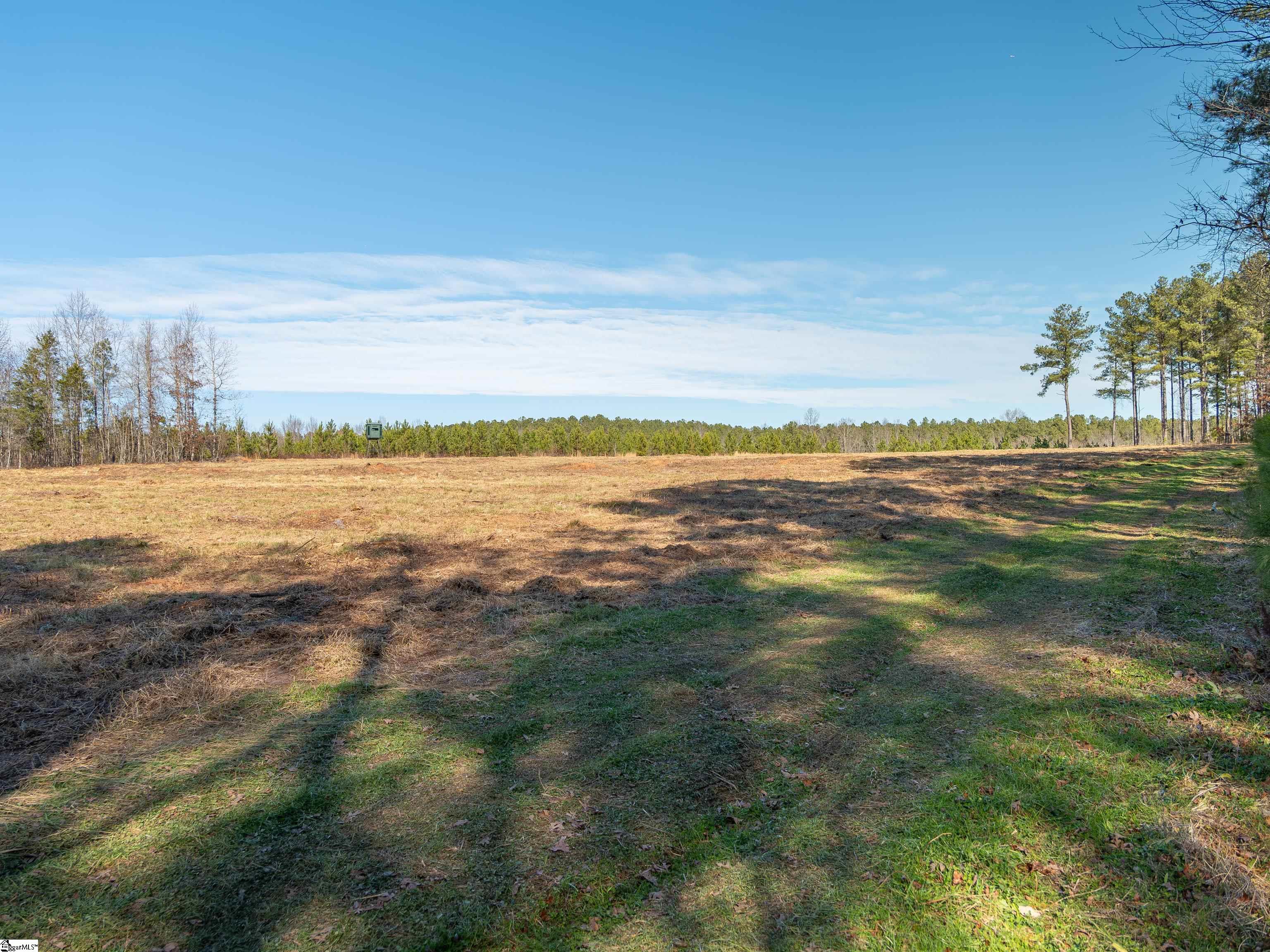 10 Mill Pine Road Liberty, SC 29657 - Photo 11 of 43