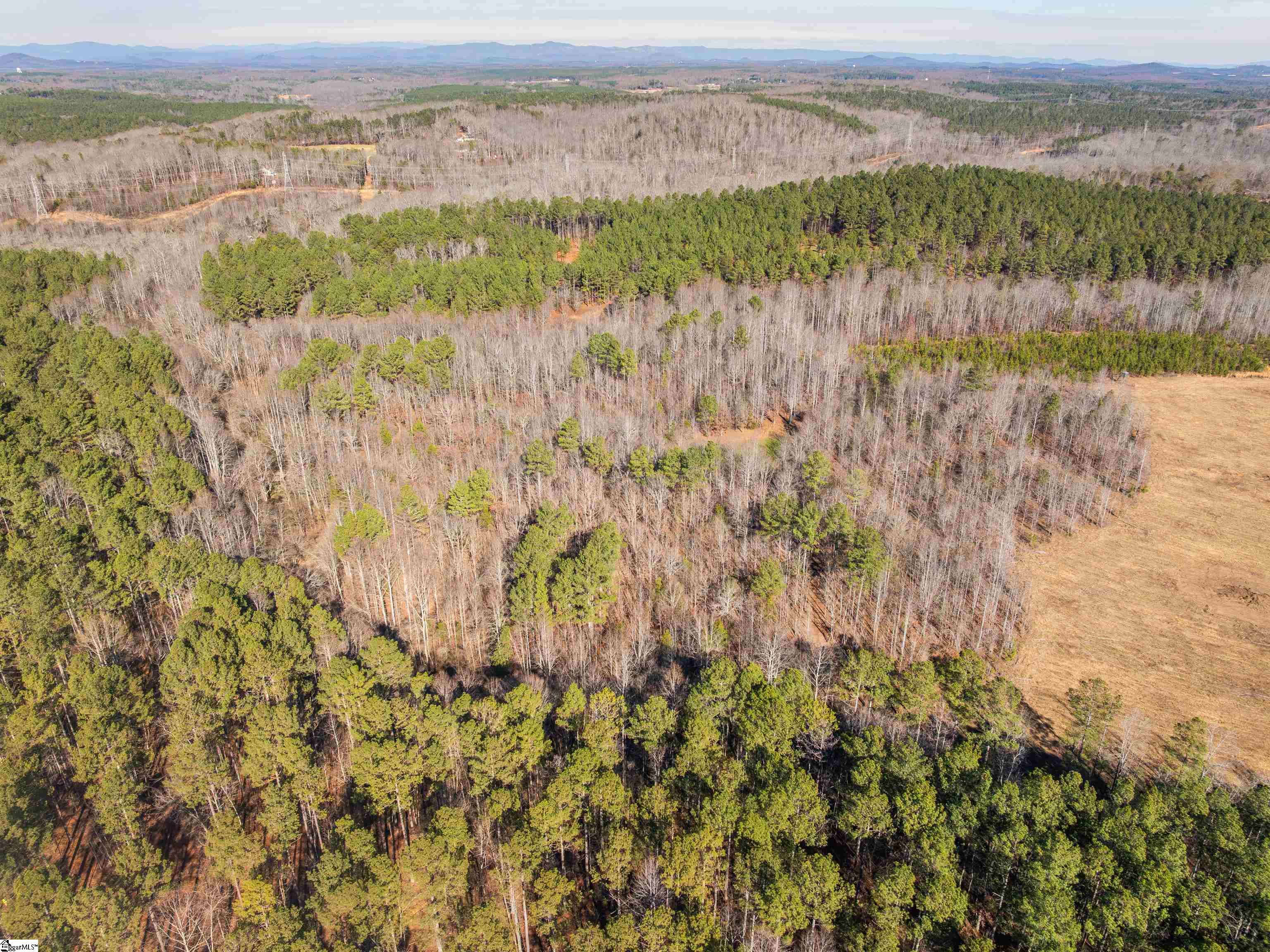 10 Mill Pine Road Liberty, SC 29657 - Photo 12 of 43