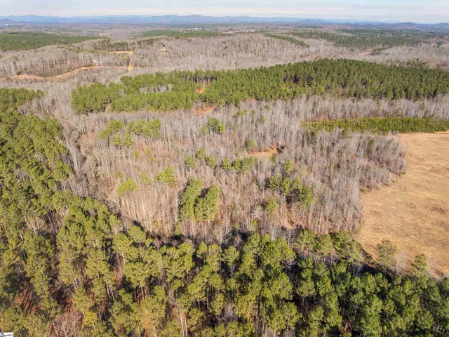 $799,999 | 10 Mill Pine Road, Liberty, SC 29657