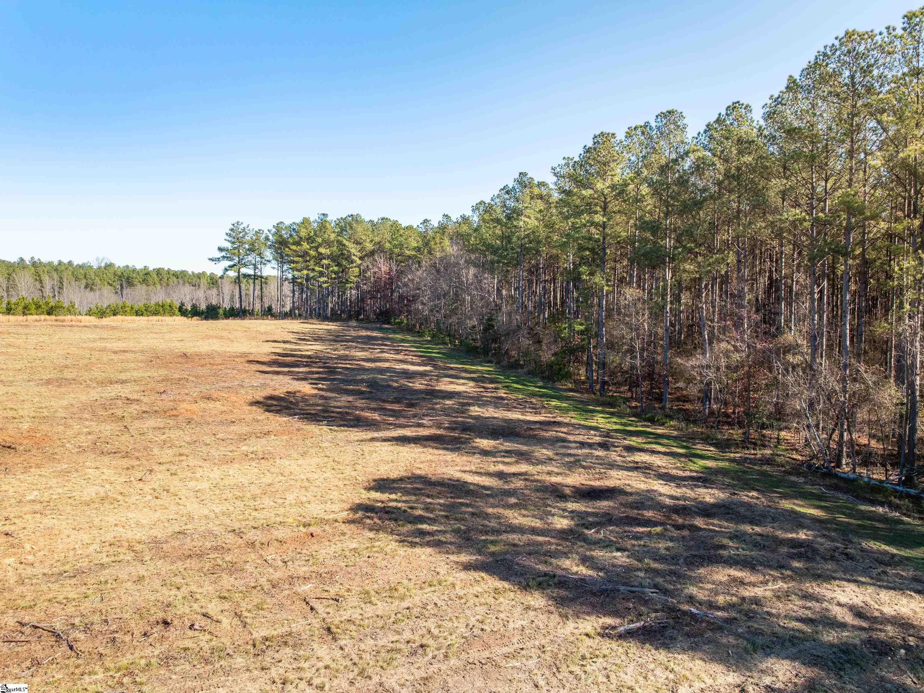 10 Mill Pine Road Liberty, SC 29657 - Photo 15 of 43