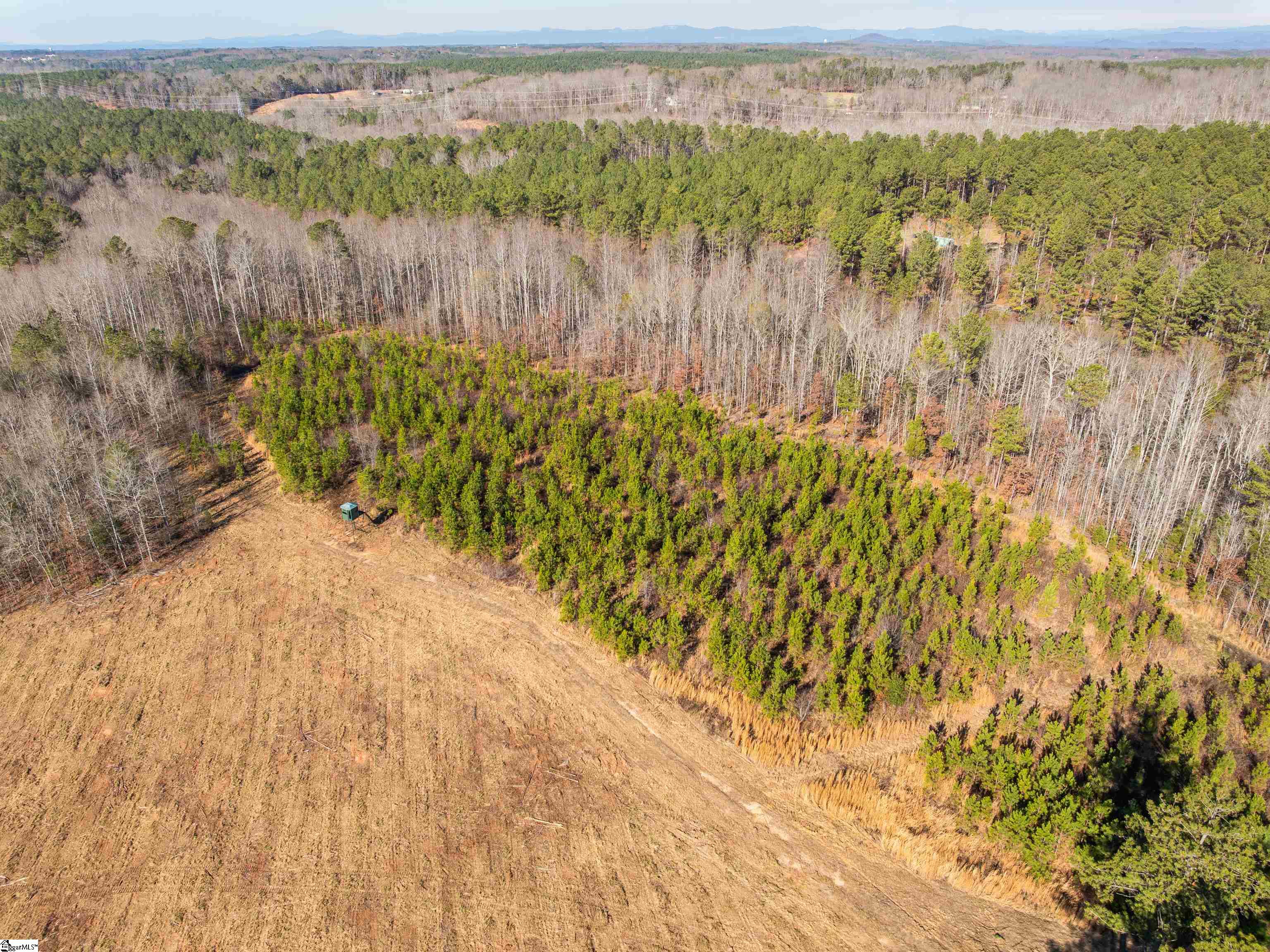 10 Mill Pine Road Liberty, SC 29657 - Photo 16 of 43