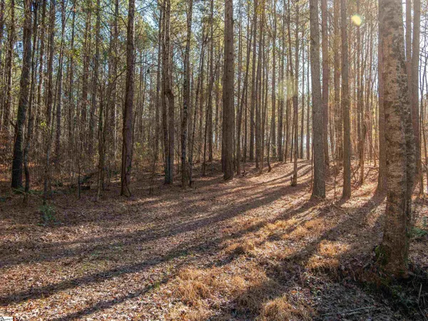 $799,999 | 10 Mill Pine Road, Liberty, SC 29657