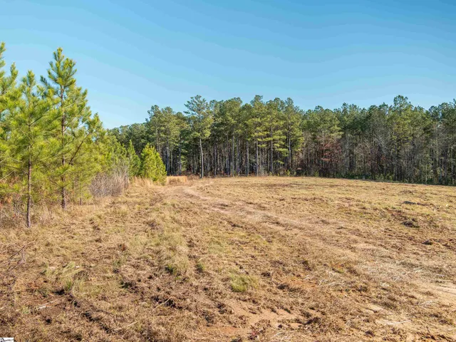 $799,999 | 10 Mill Pine Road, Liberty, SC 29657