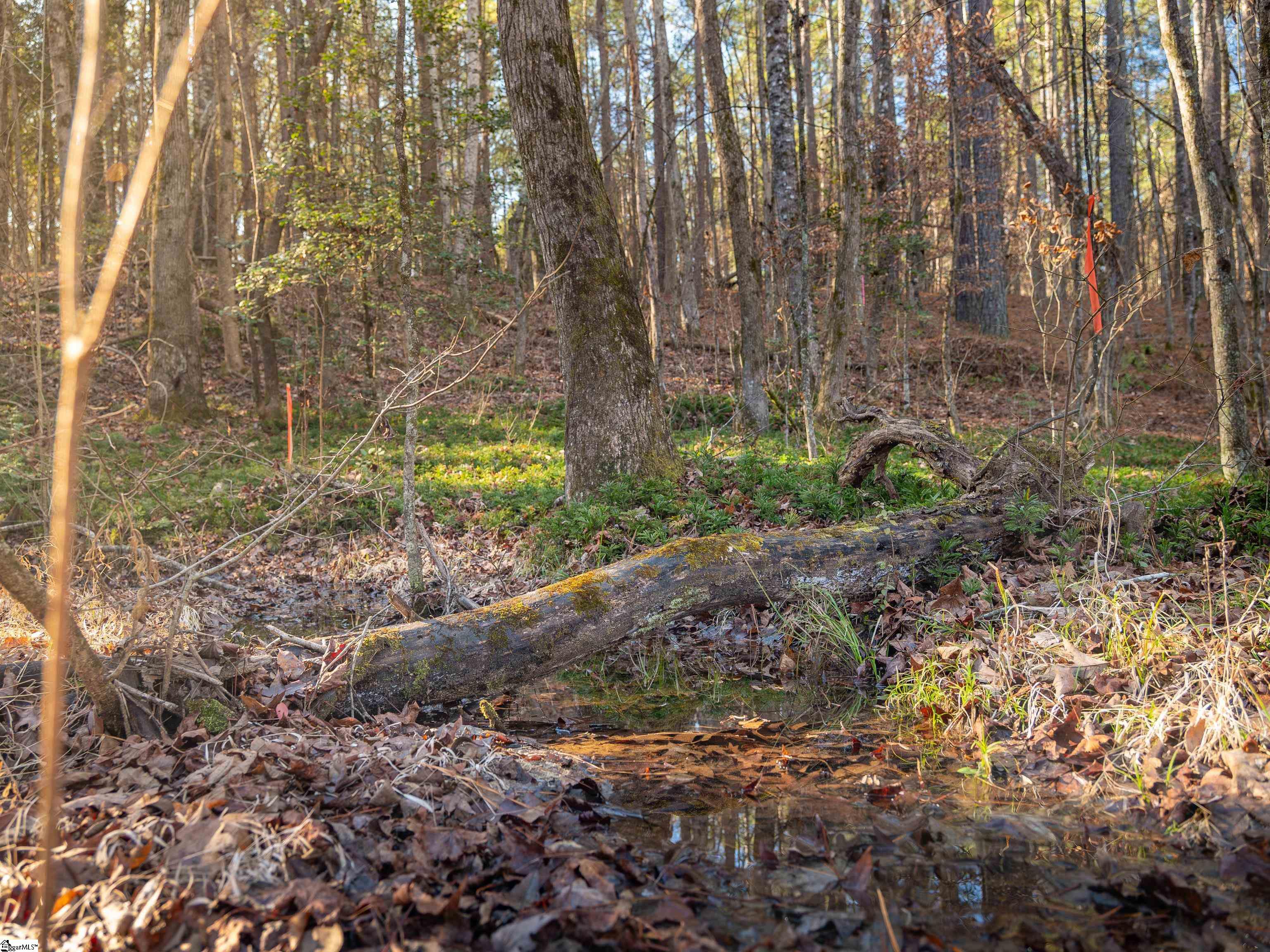 10 Mill Pine Road Liberty, SC 29657 - Photo 21 of 43