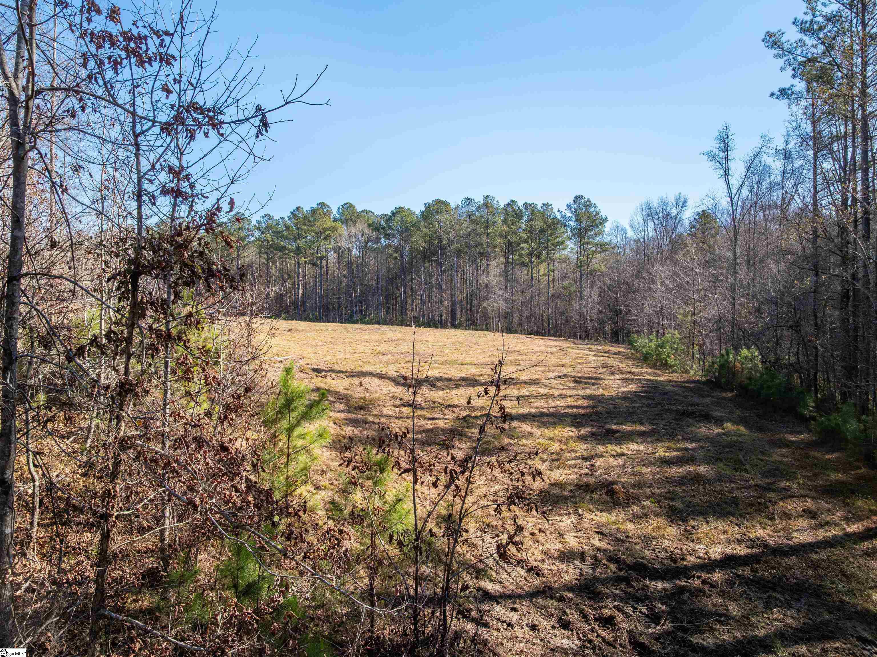 10 Mill Pine Road Liberty, SC 29657 - Photo 22 of 43