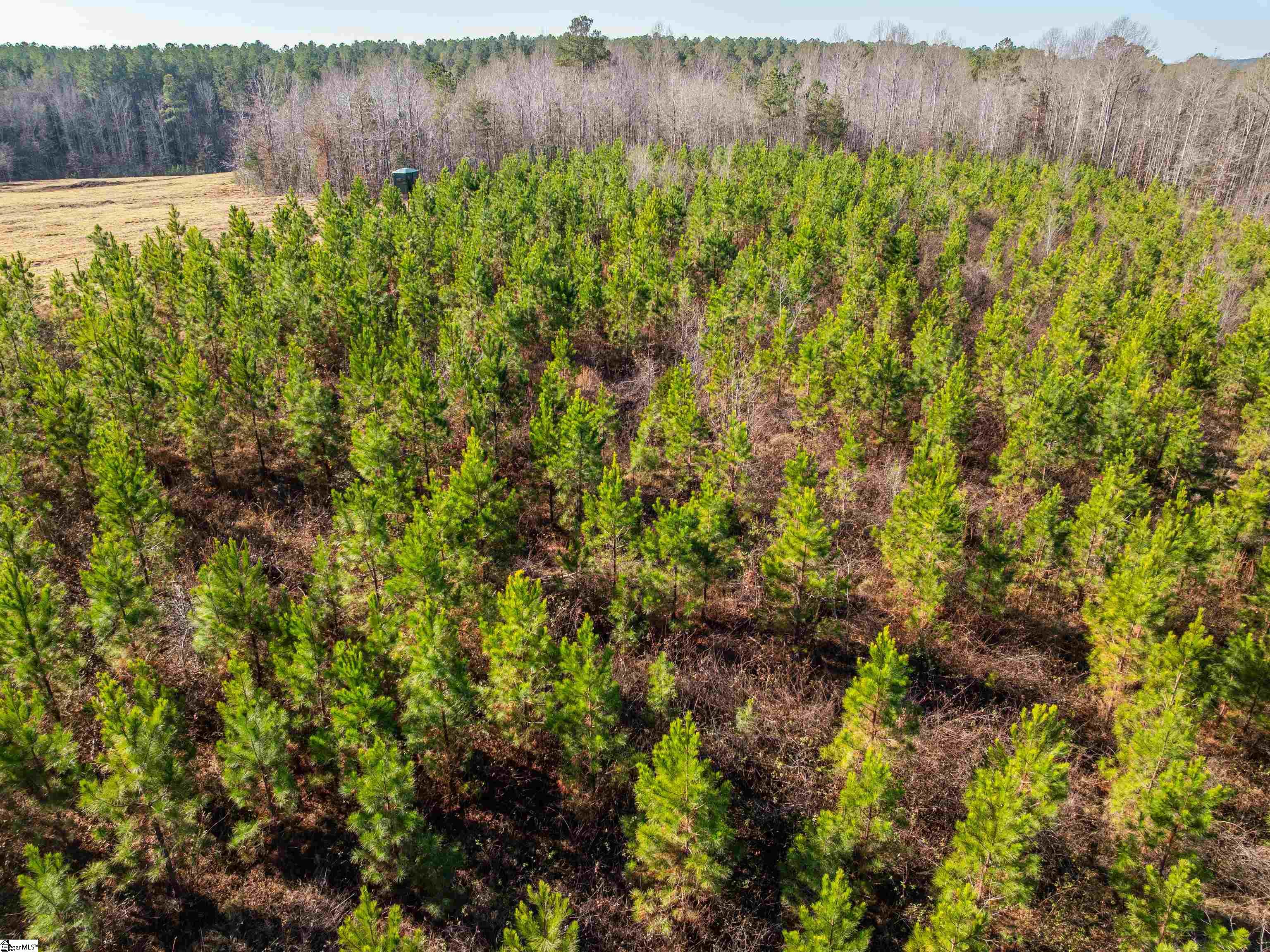 10 Mill Pine Road Liberty, SC 29657 - Photo 23 of 43