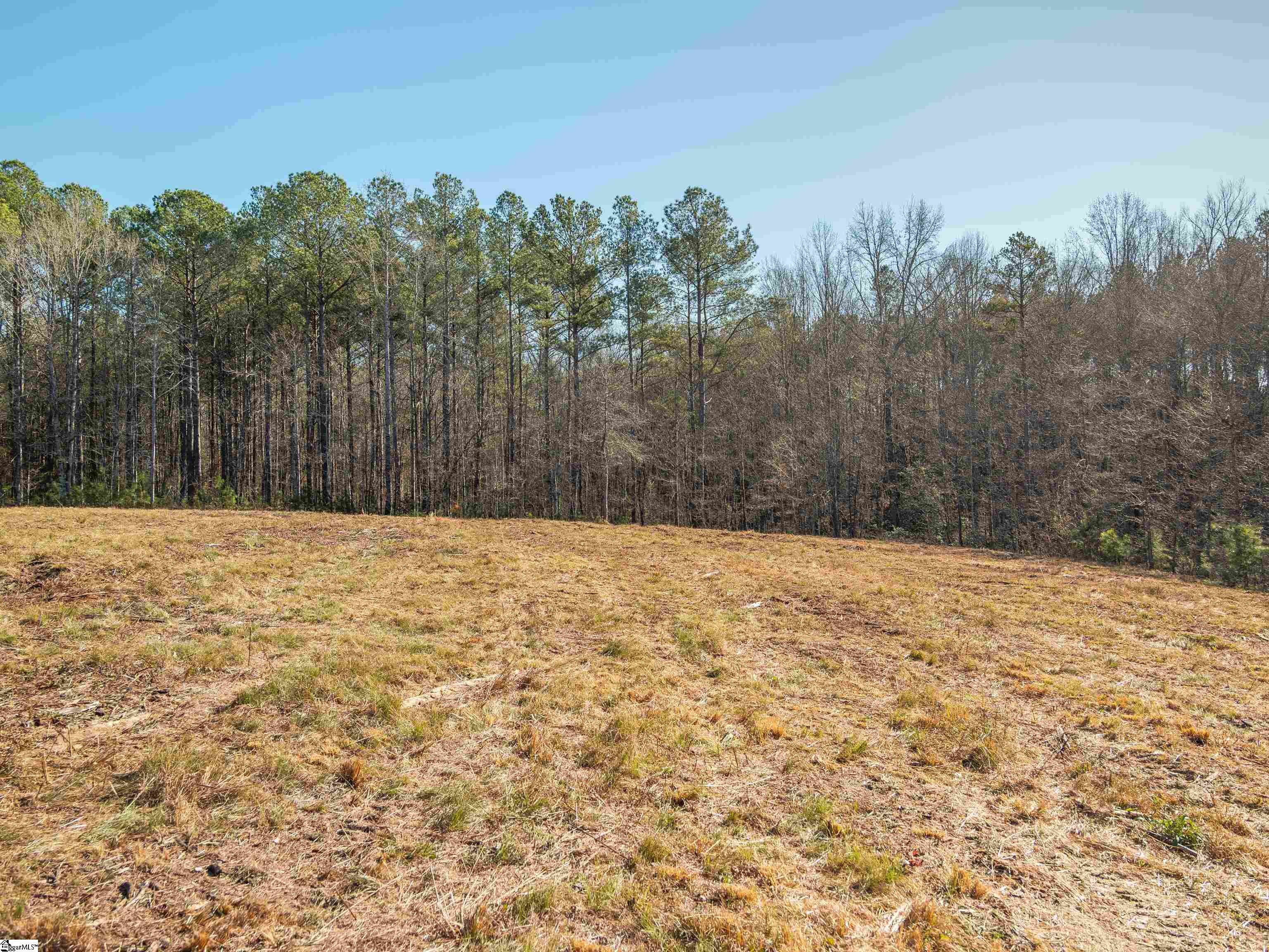 10 Mill Pine Road Liberty, SC 29657 - Photo 24 of 43