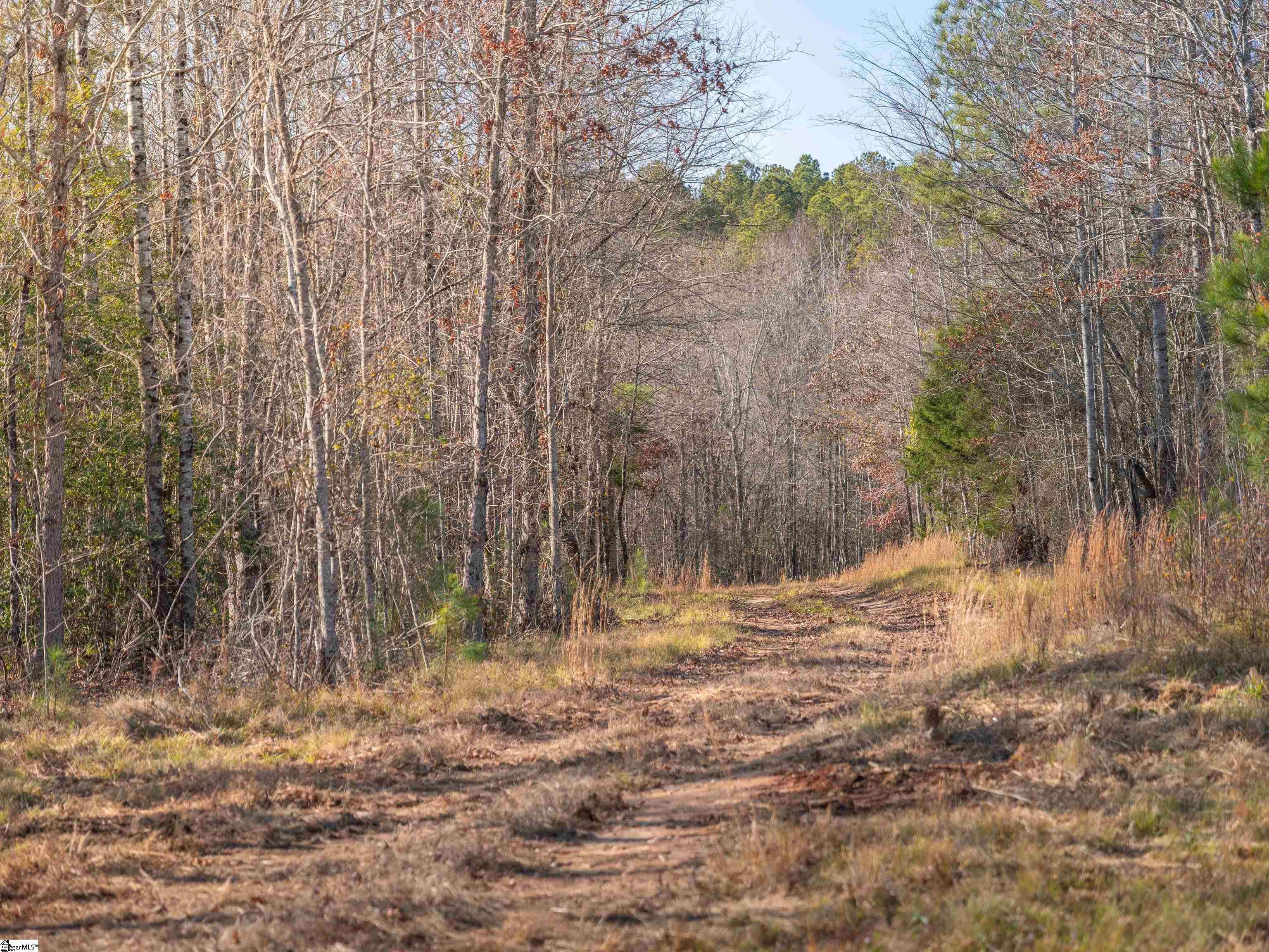 10 Mill Pine Road Liberty, SC 29657 - Photo 27 of 43