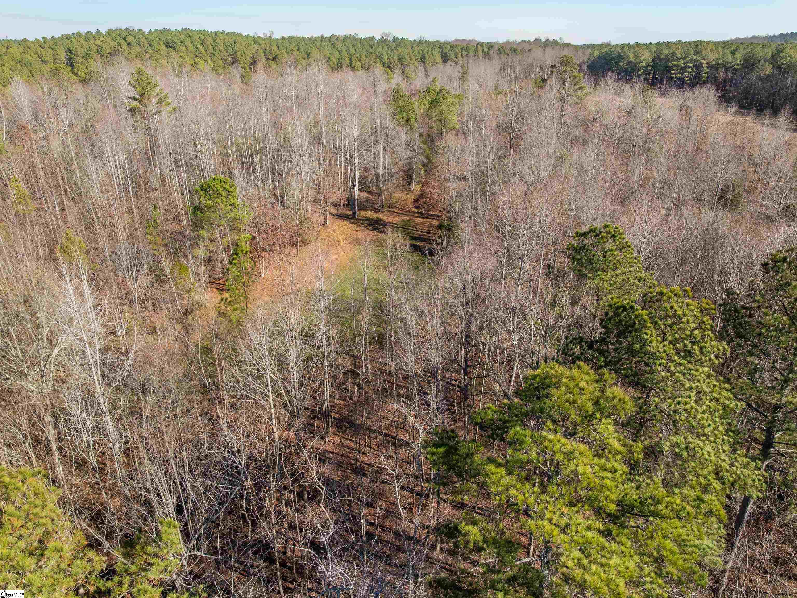 10 Mill Pine Road Liberty, SC 29657 - Photo 28 of 43