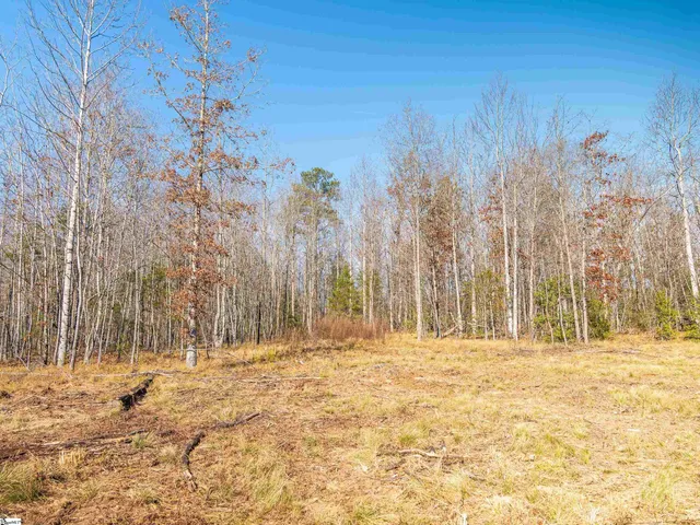 $799,999 | 10 Mill Pine Road, Liberty, SC 29657