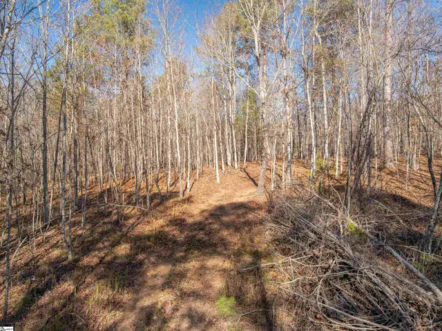 $799,999 | 10 Mill Pine Road, Liberty, SC 29657