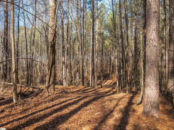 $799,999 | 10 Mill Pine Road, Liberty, SC 29657