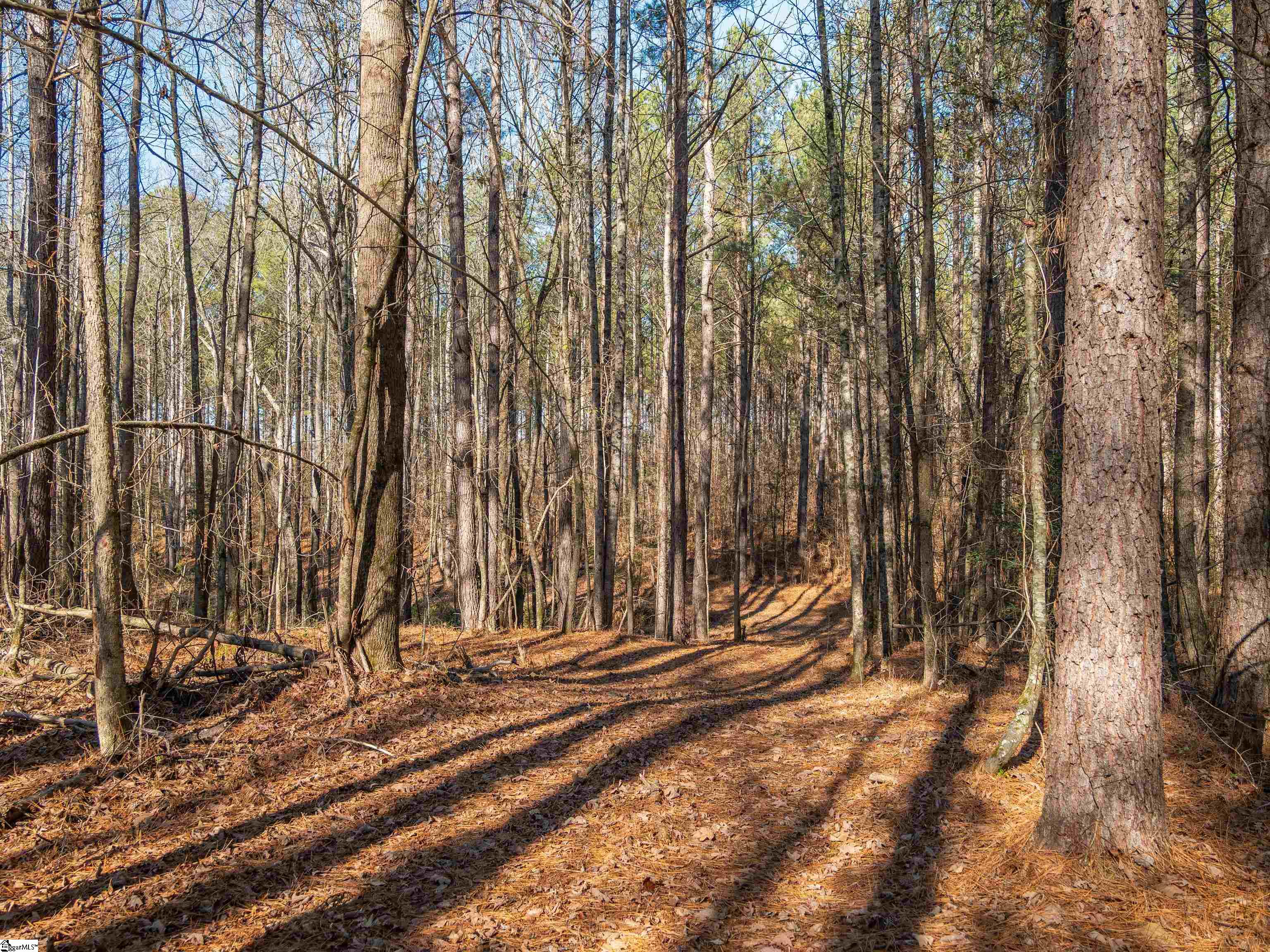 10 Mill Pine Road Liberty, SC 29657 - Photo 3 of 43