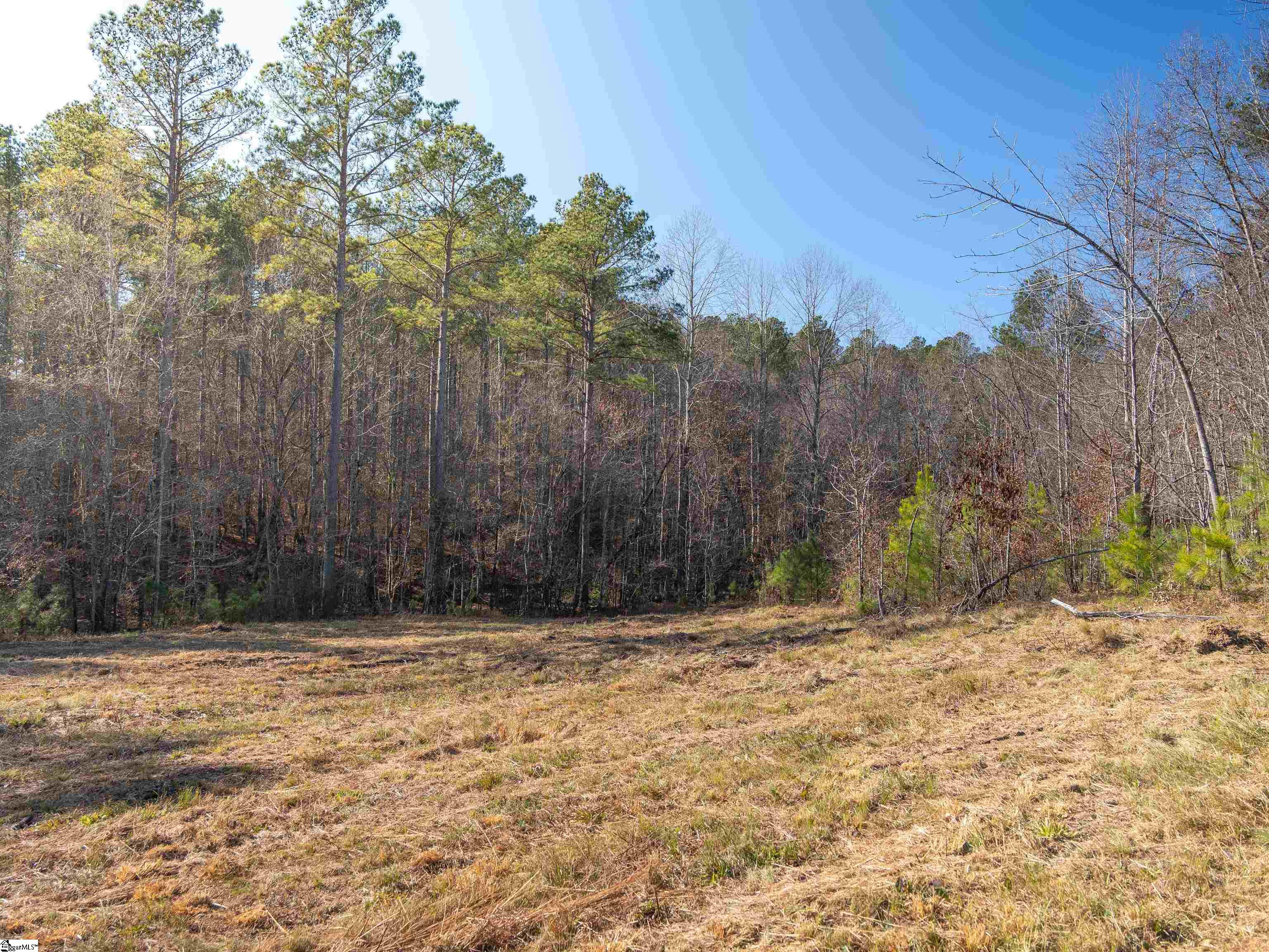 10 Mill Pine Road Liberty, SC 29657 - Photo 31 of 43