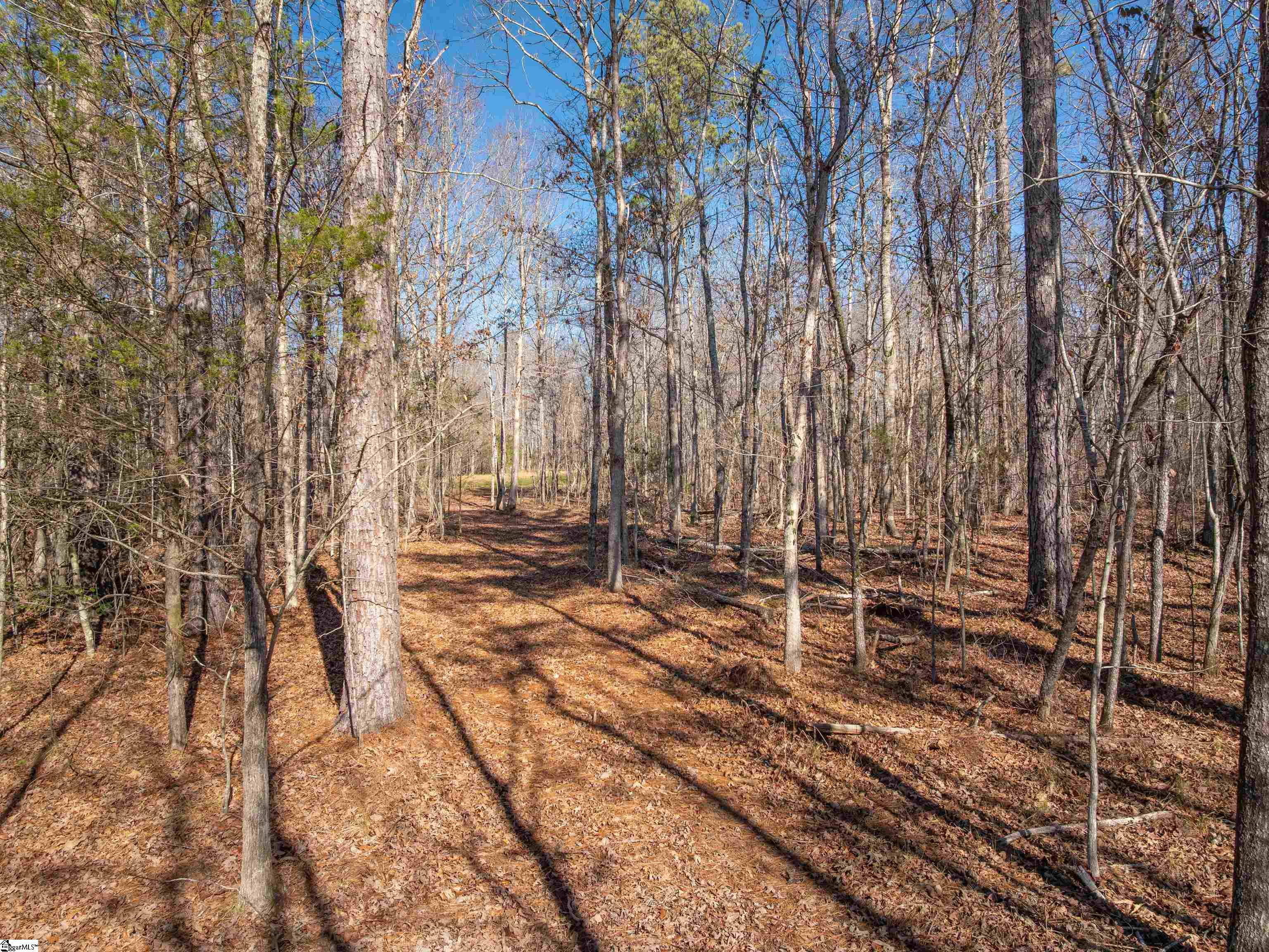 10 Mill Pine Road Liberty, SC 29657 - Photo 32 of 43