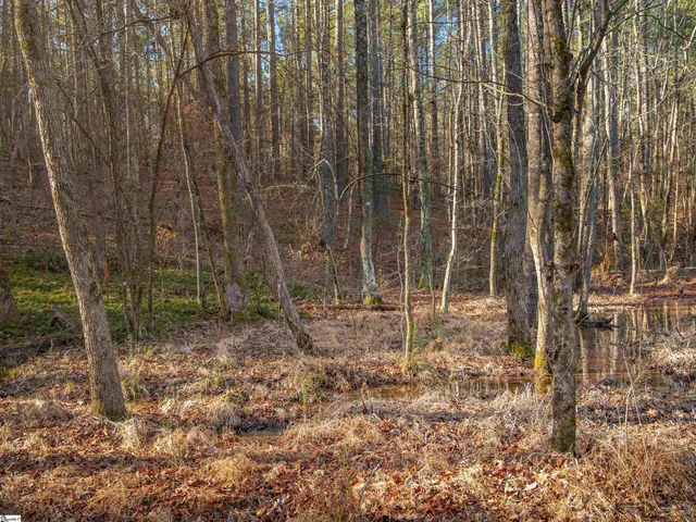 $799,999 | 10 Mill Pine Road, Liberty, SC 29657