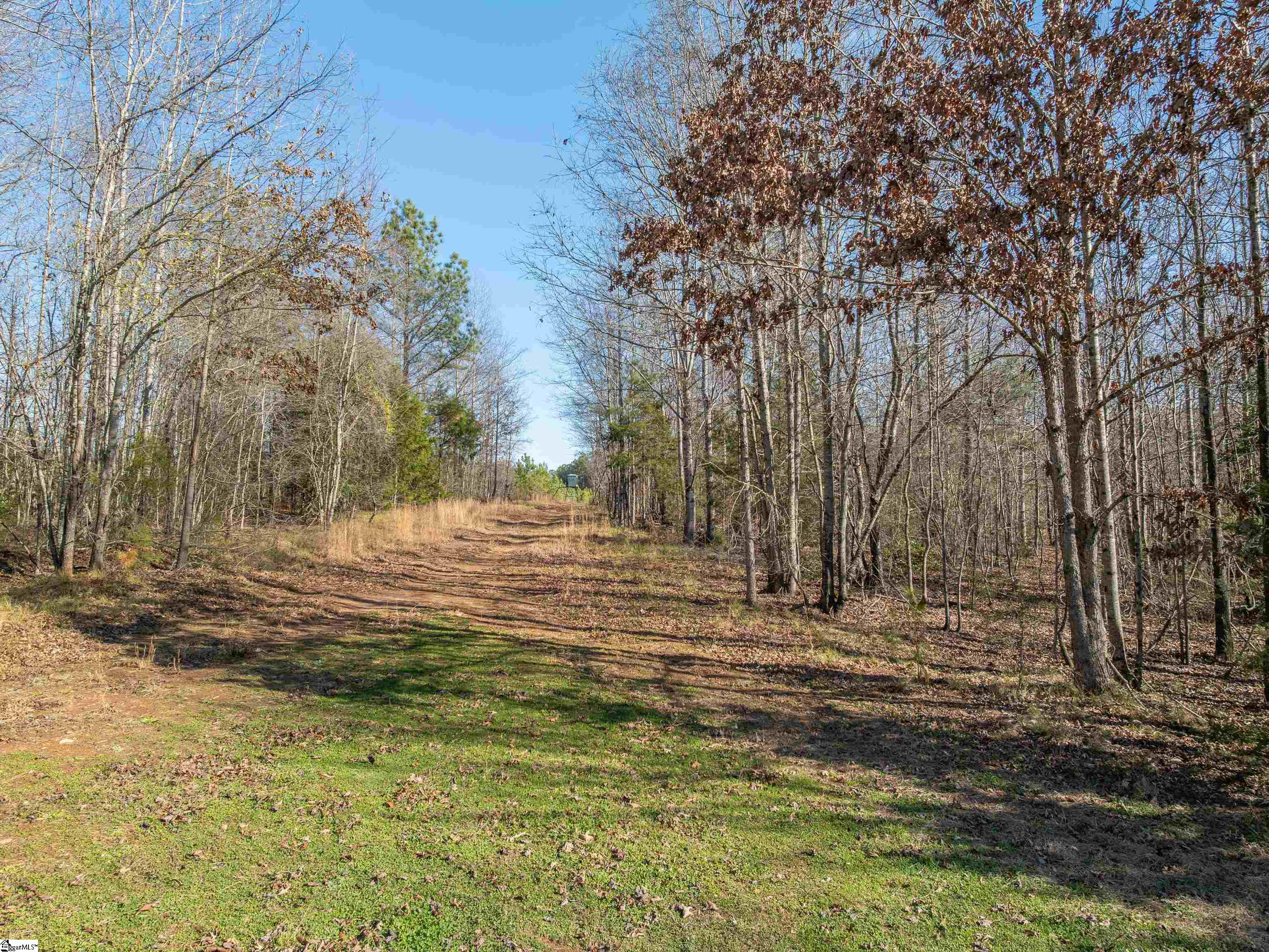 10 Mill Pine Road Liberty, SC 29657 - Photo 34 of 43