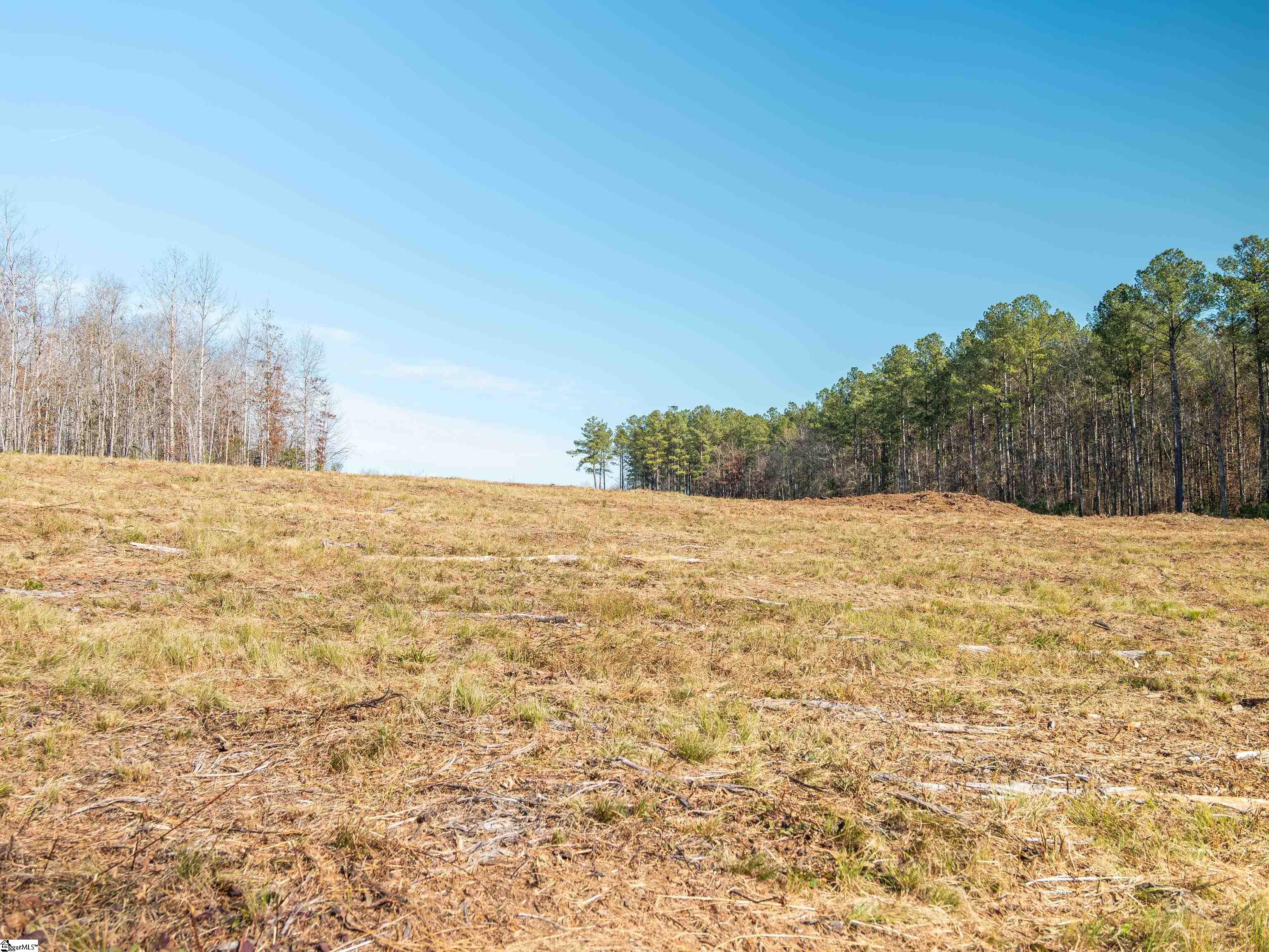 10 Mill Pine Road Liberty, SC 29657 - Photo 36 of 43