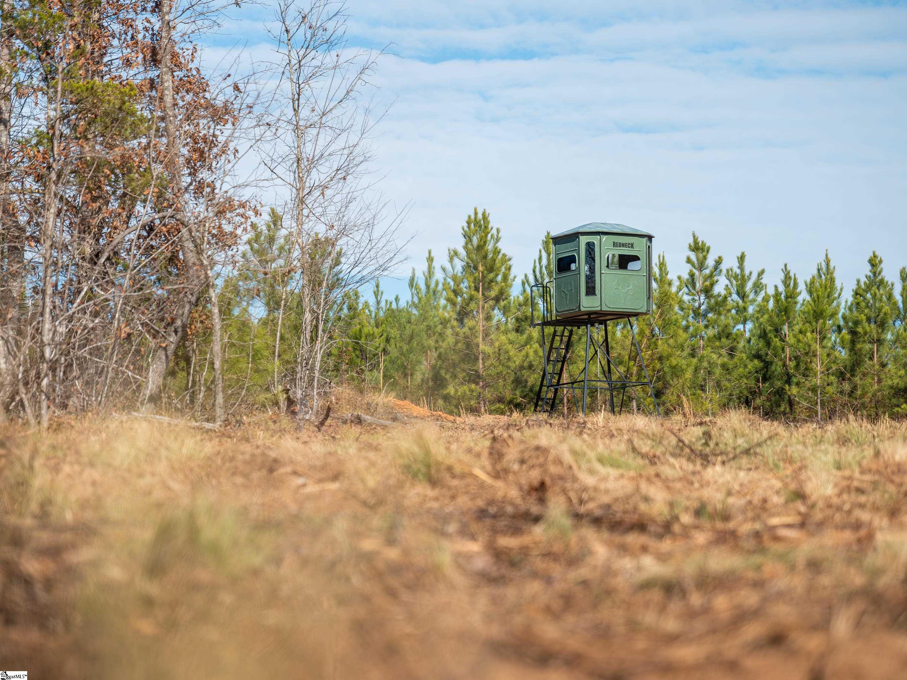 10 Mill Pine Road Liberty, SC 29657 - Photo 37 of 43