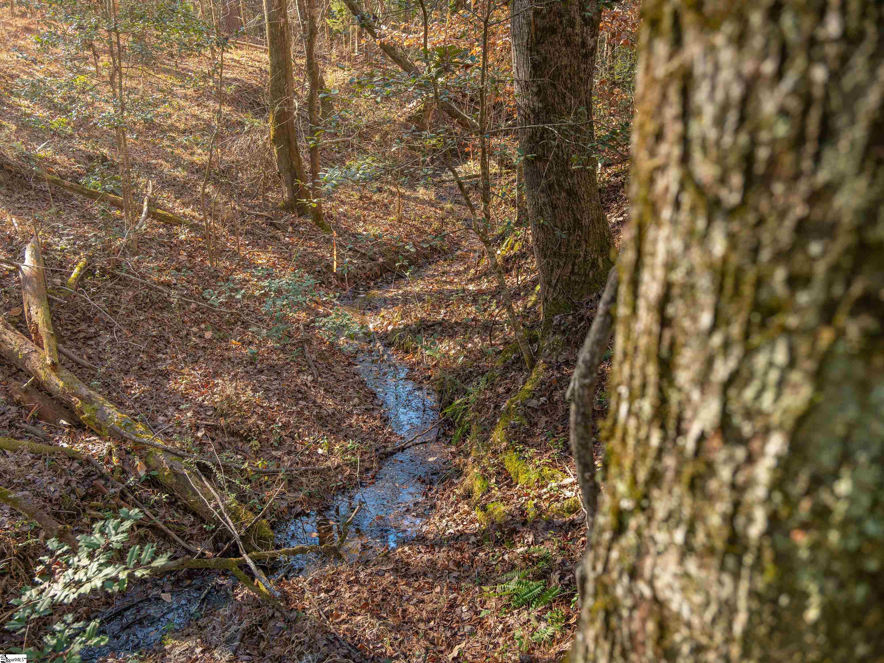 10 Mill Pine Road Liberty, SC 29657 - Photo 38 of 43