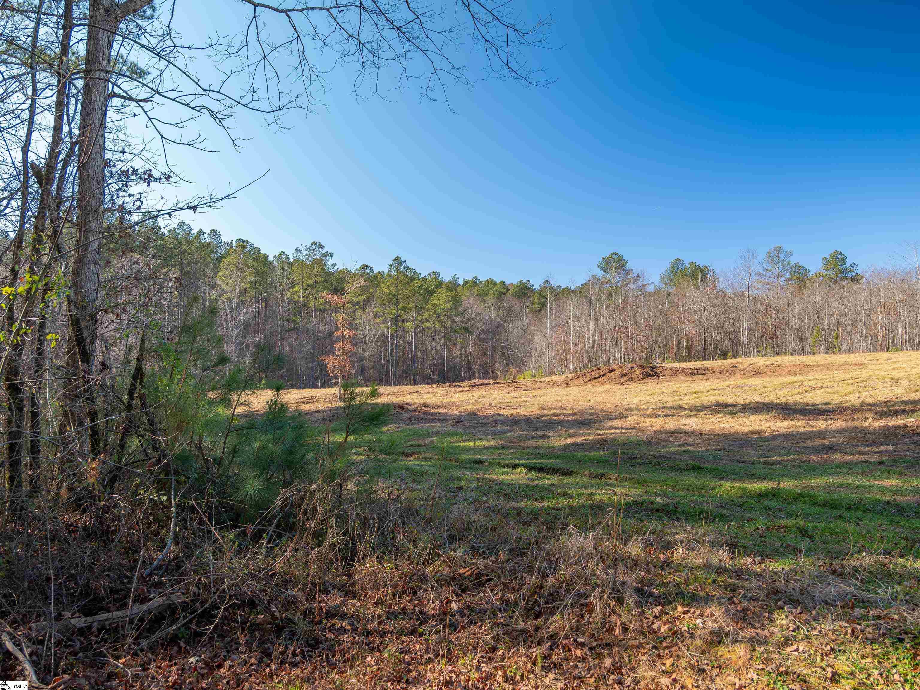 10 Mill Pine Road Liberty, SC 29657 - Photo 39 of 43