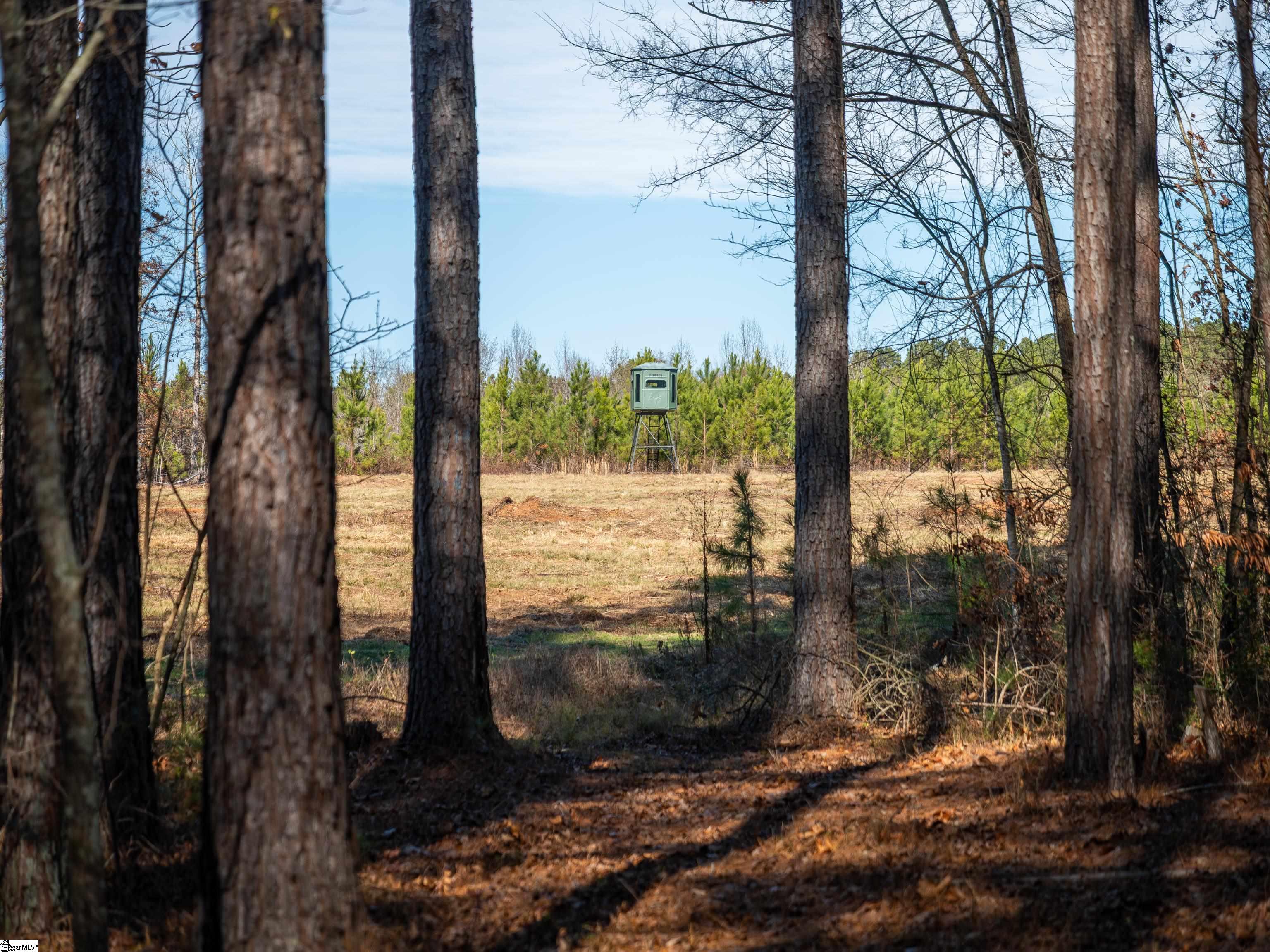 10 Mill Pine Road Liberty, SC 29657 - Photo 4 of 43