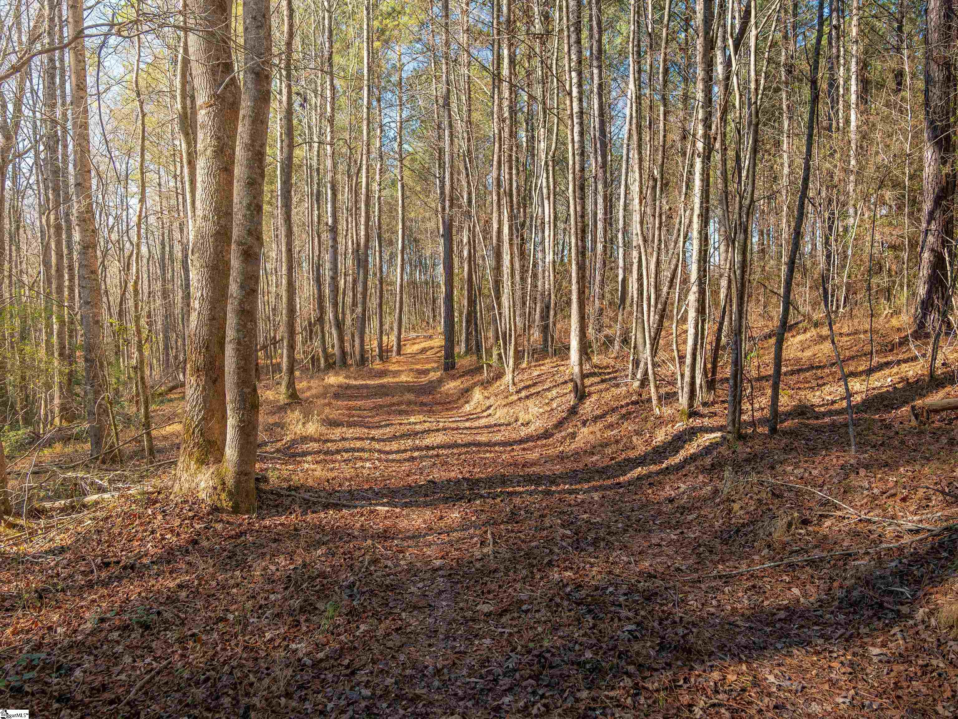 10 Mill Pine Road Liberty, SC 29657 - Photo 41 of 43