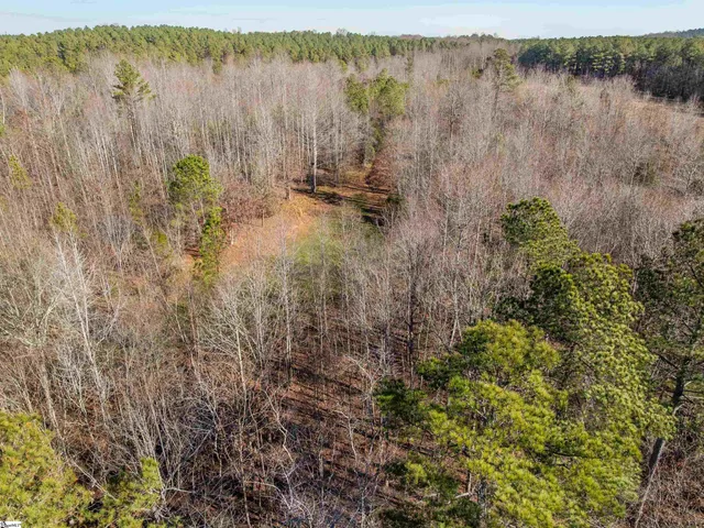 $799,999 | 10 Mill Pine Road, Liberty, SC 29657