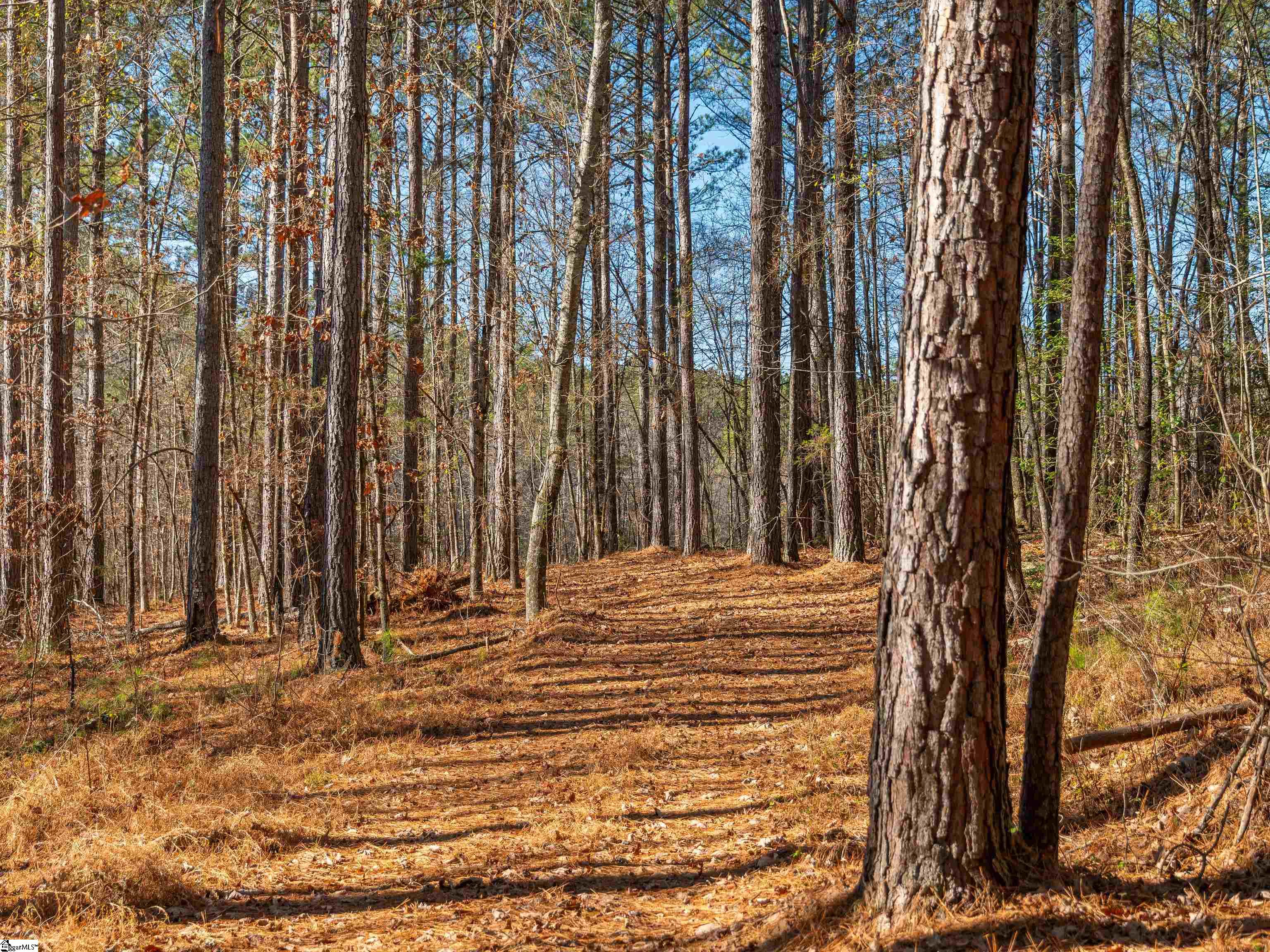 10 Mill Pine Road Liberty, SC 29657 - Photo 43 of 43