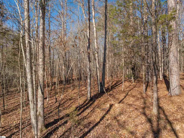 $799,999 | 10 Mill Pine Road, Liberty, SC 29657