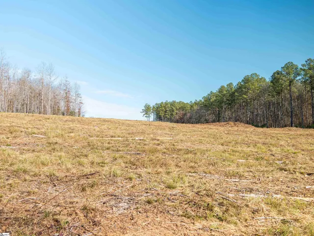 $799,999 | 10 Mill Pine Road, Liberty, SC 29657