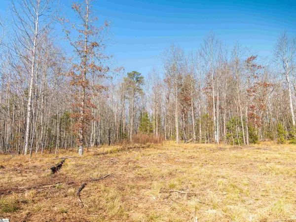 $799,999 | 10 Mill Pine Road, Liberty, SC 29657