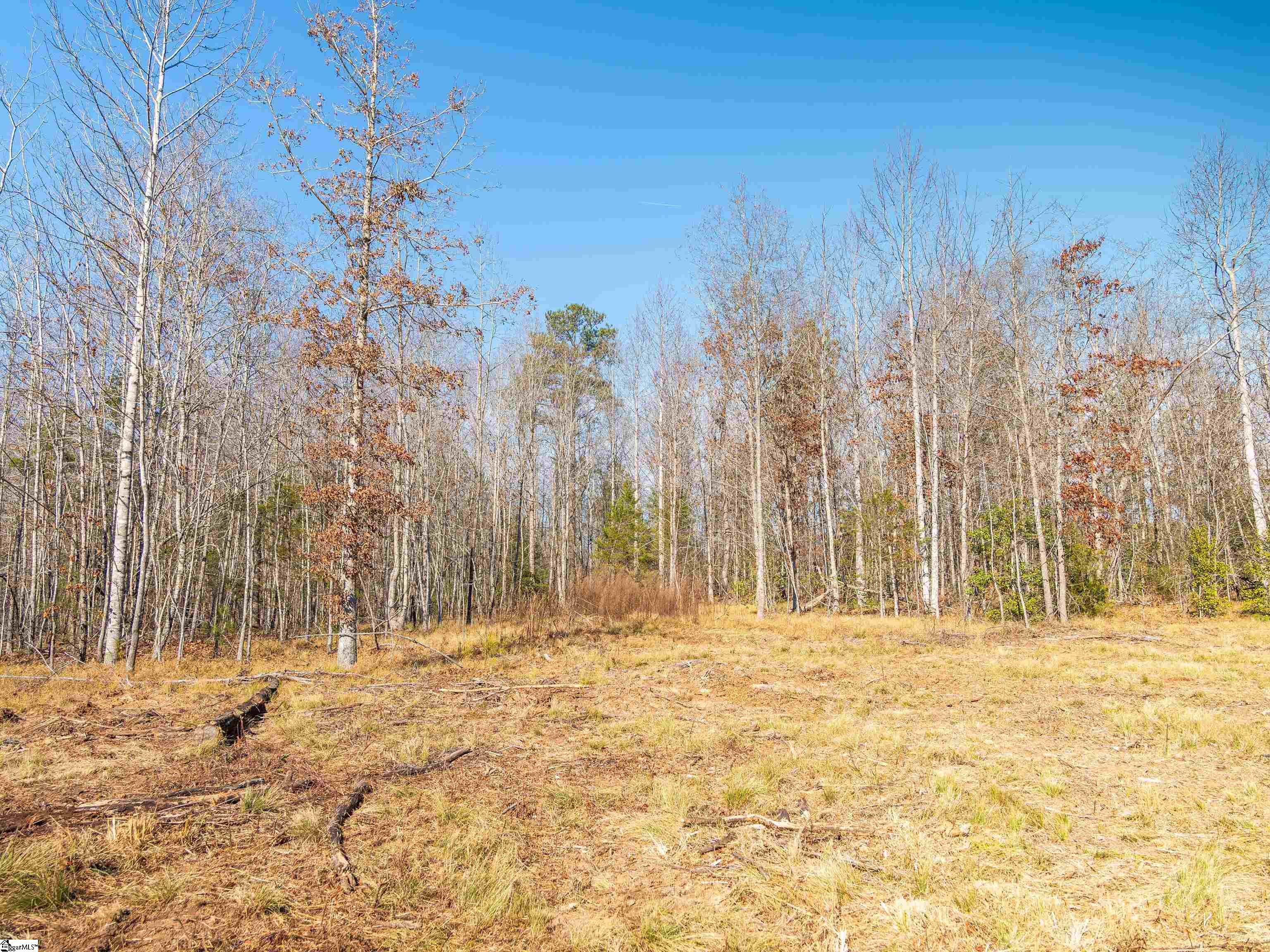 10 Mill Pine Road Liberty, SC 29657 - Photo 5 of 43