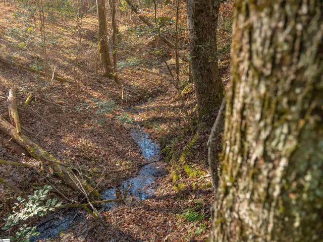 $799,999 | 10 Mill Pine Road, Liberty, SC 29657