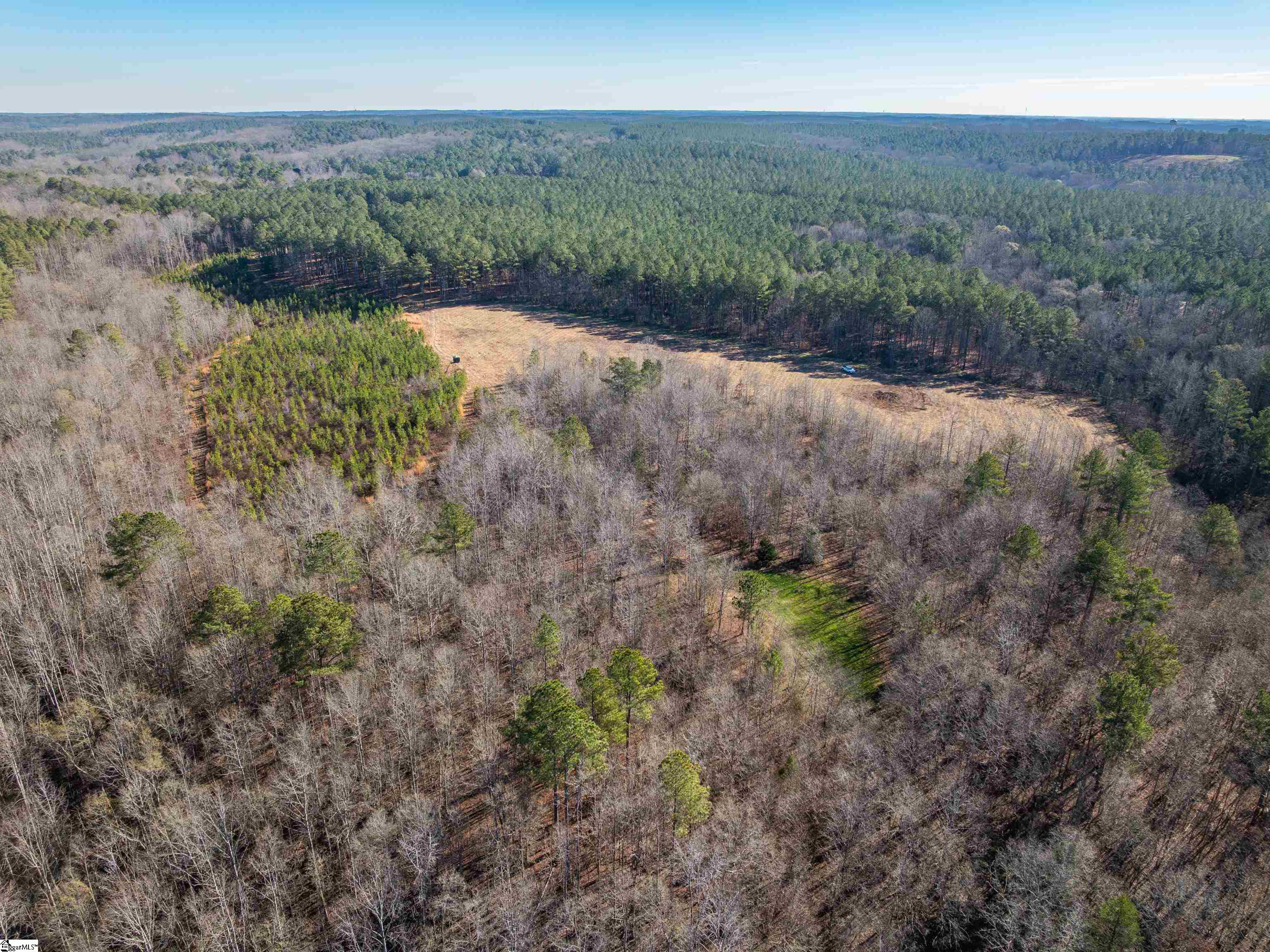 10 Mill Pine Road Liberty, SC 29657 - Photo 8 of 43