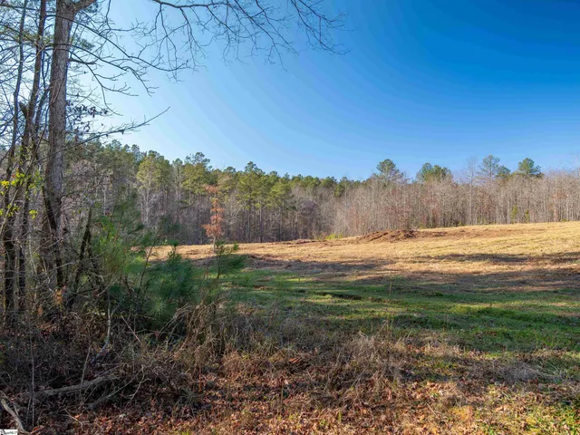 $799,999 | 10 Mill Pine Road, Liberty, SC 29657