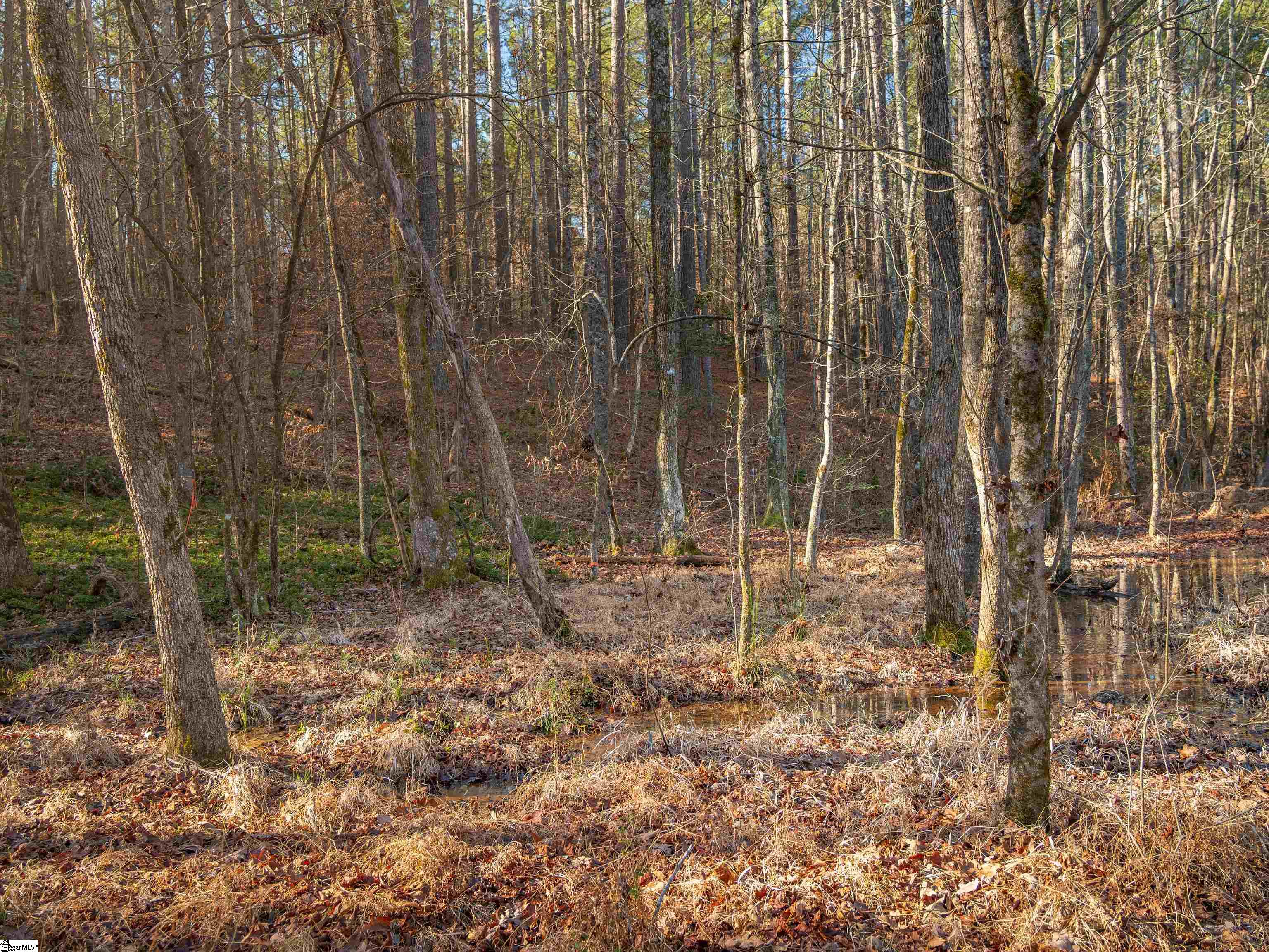 10 Mill Pine Road Liberty, SC 29657 - Photo 9 of 43