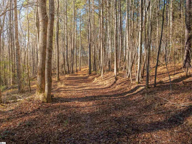 $799,999 | 10 Mill Pine Road, Liberty, SC 29657