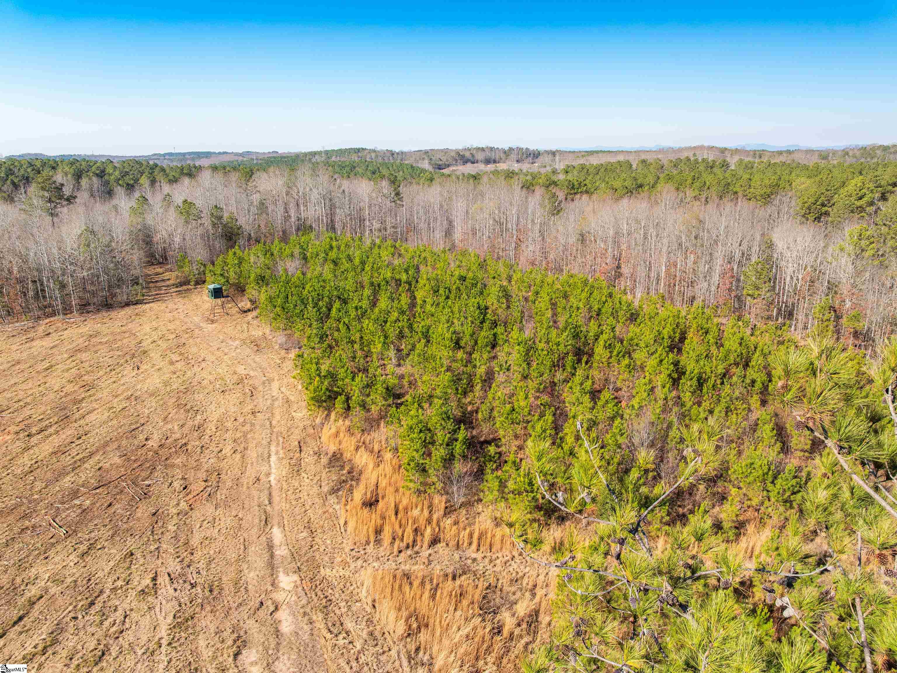 10 Mill Pine Road Liberty, SC 29657 - Photo 10 of 43